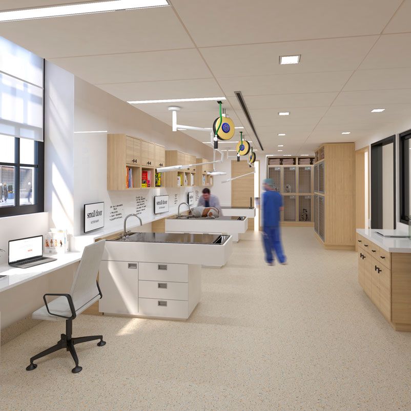 iVet Medical veterinary clinic interior — treatment tables, surgical lighting, kennels and staff at work