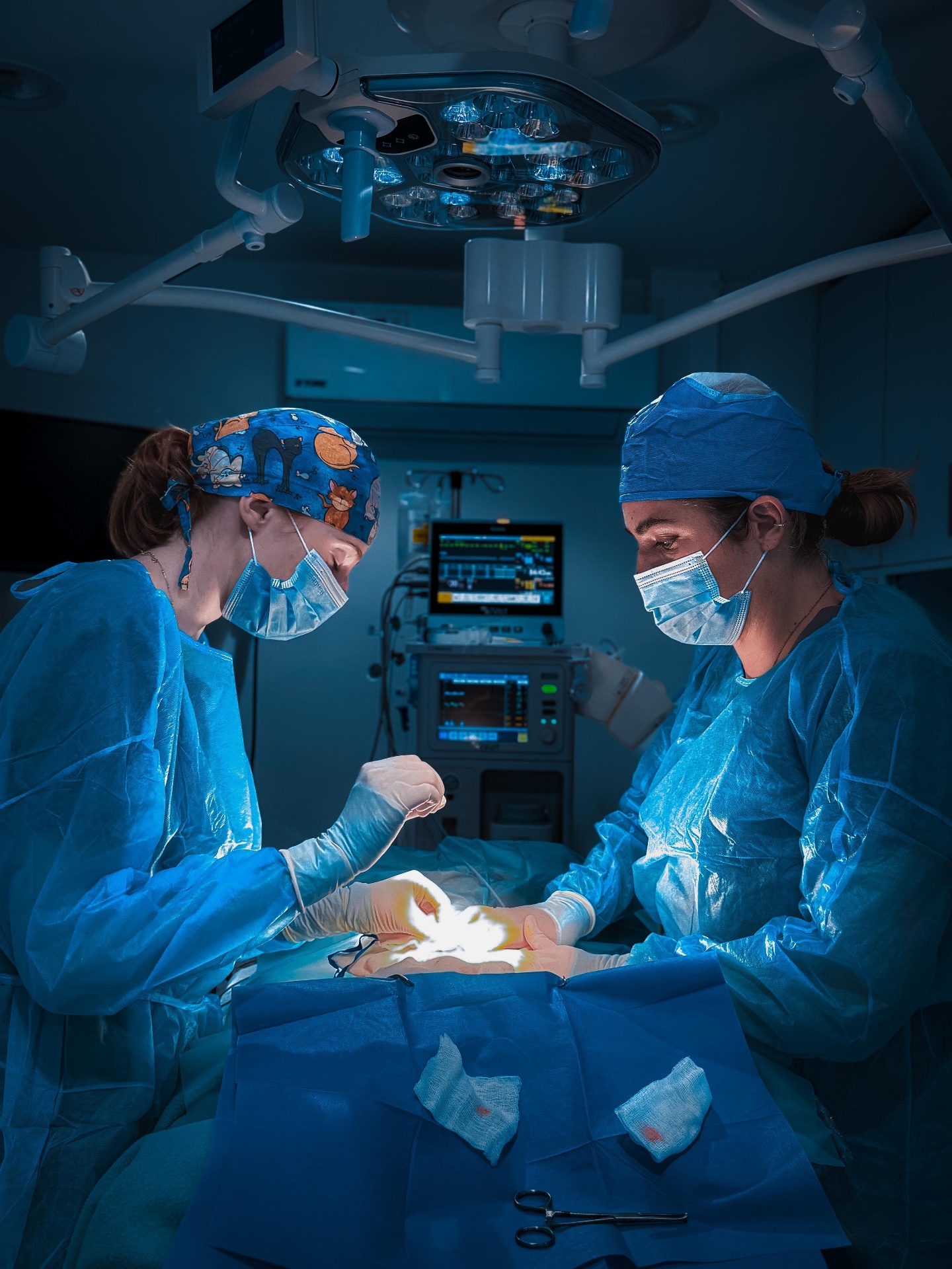 iVet Medical